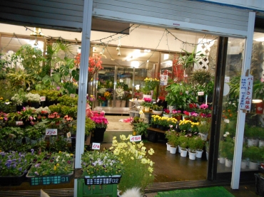 「花新」　（茨城県古河市）の花屋店舗写真1